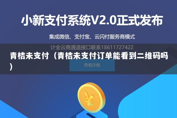 青桔未支付（青桔未支付订单能看到二维码吗）